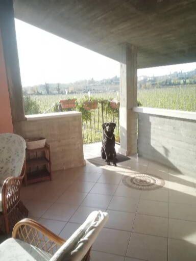 Apartment Uno Sguardo Sulla Valpolicella
