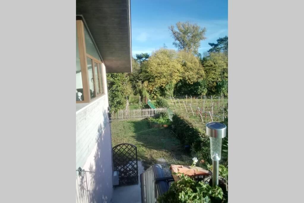 Uno Sguardo Sulla Valpolicella Pedemonte