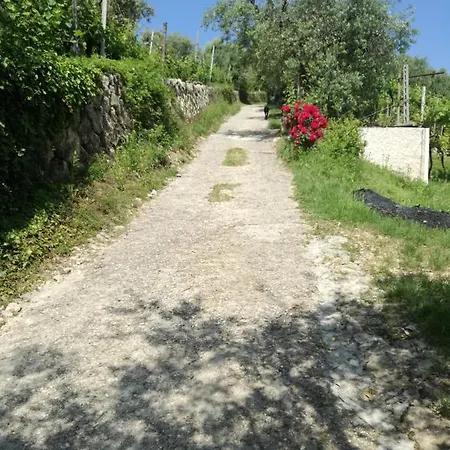 Appartamento Uno sguardo sulla Valpolicella Pedemonte Esterno foto