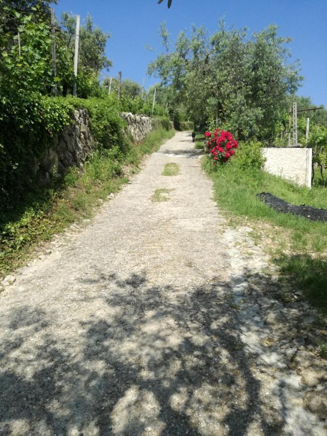 Uno Sguardo Sulla Valpolicella *